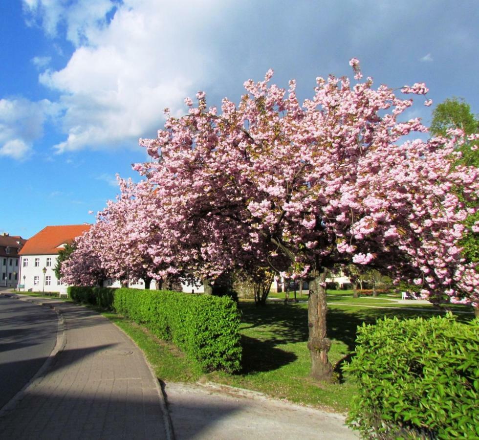 Kastanienhof Luebben Apartment Екстериор снимка